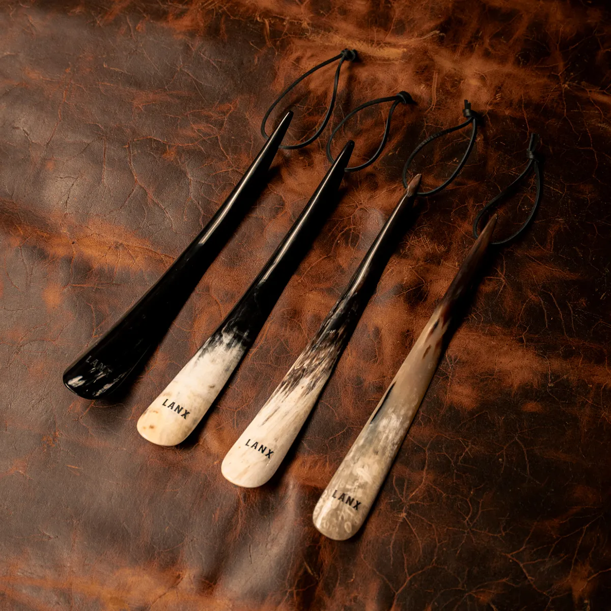 CARNFORTH / SHOE HORN - Image 2