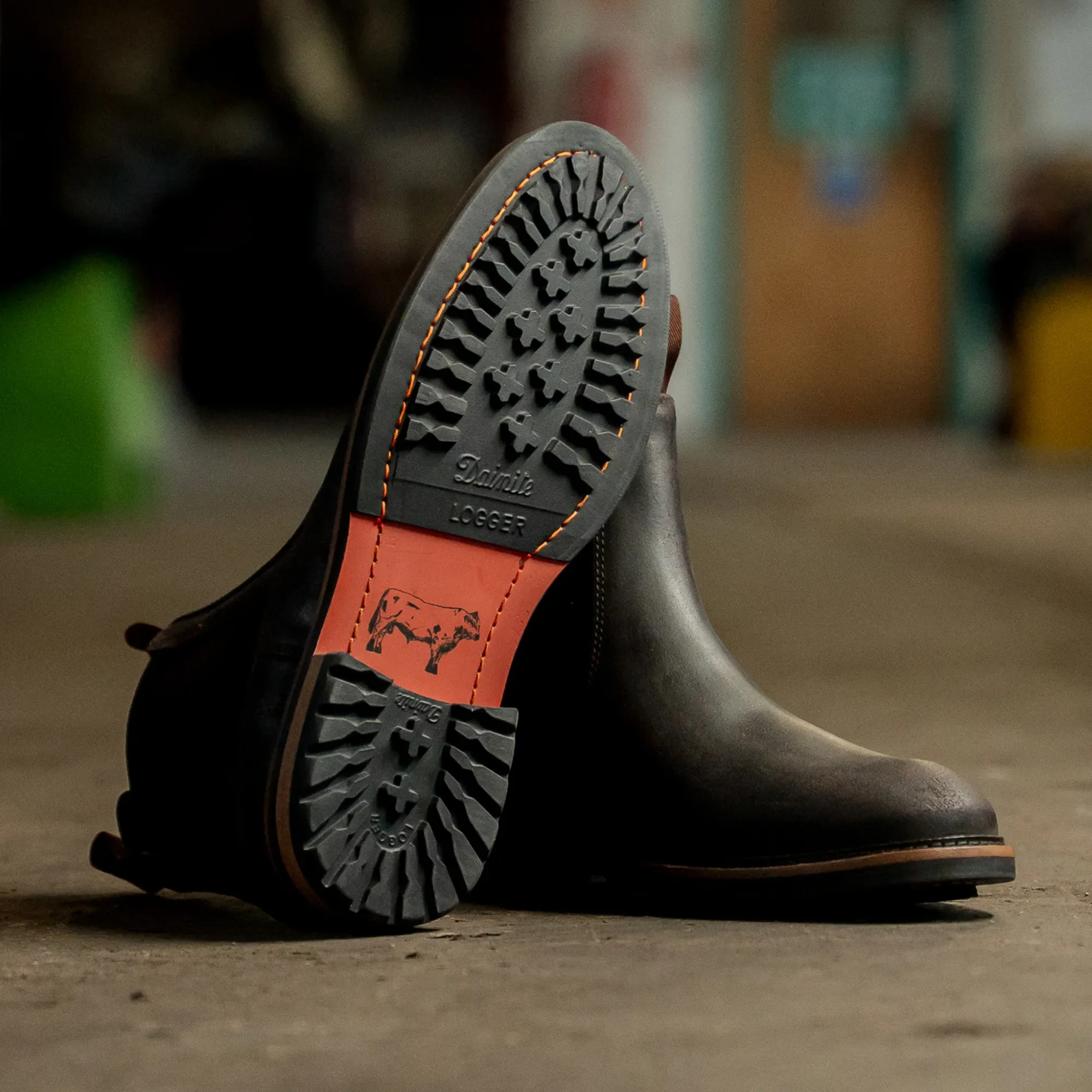 GARSTANG // WALNUT - Image 5