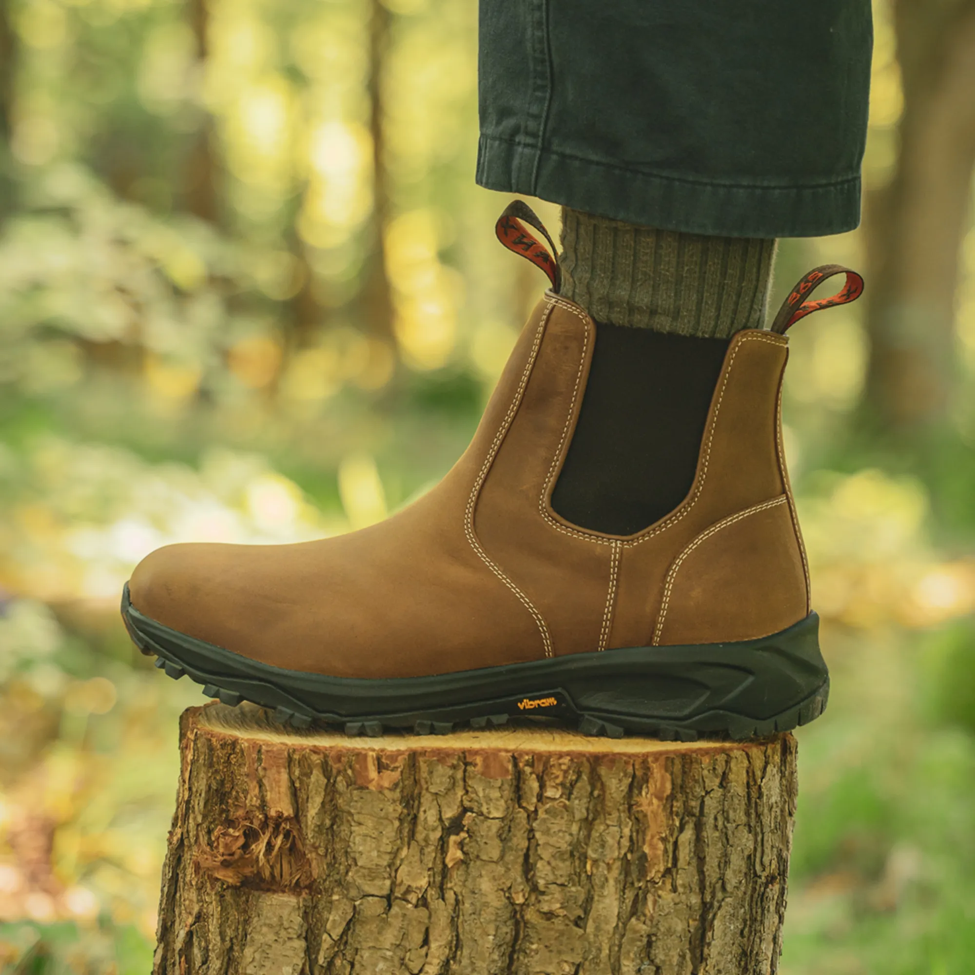 RIBCHESTER // ACACIA DISTRESSED - Image 6